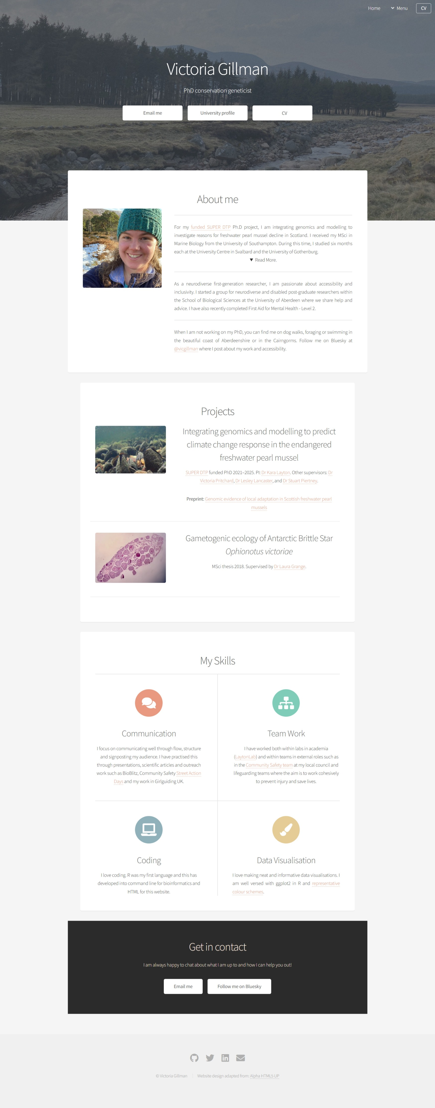 Screenshot of my old academic website