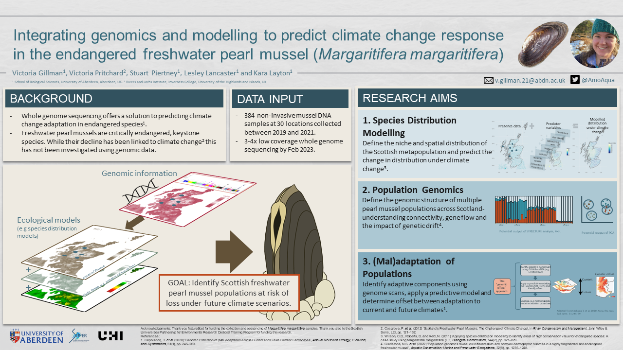 Poster on MSci thesis. See download for accessible version